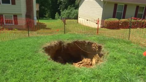 8 Easy Steps On How To Fill Hole After Stump Grinding