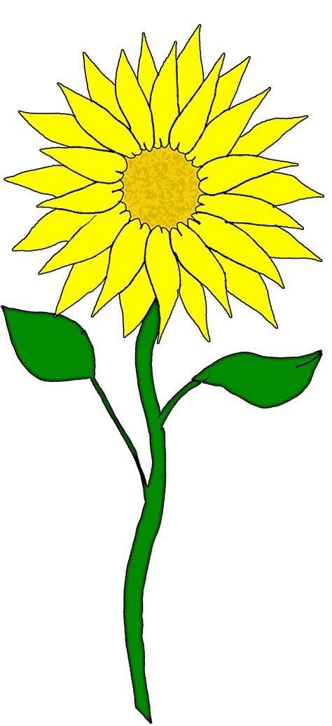 Sunflower Black And White Clipart Free Download On Clipartmag