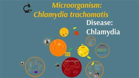 Microbiology Chlamydia Trachomatis By Sandra Kreitem