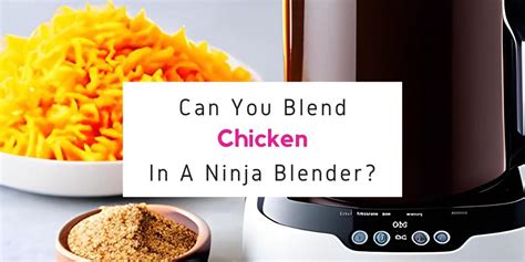 Can You Blend Chicken In A Ninja Blender