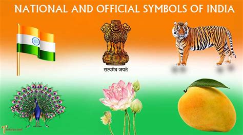 What Are The National Symbols Of India List National Symbols Of India Pdf