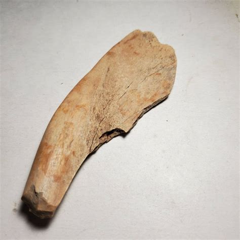 Authentic Indian Artifact Large Bone Tool Native American Etsy