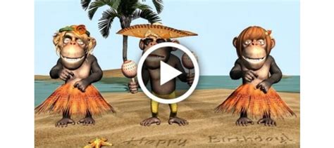 Видеооткрытка Funny Happy Birthday Song Monkeys Sing Happy Birthday
