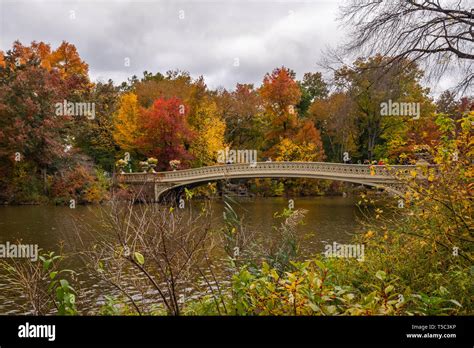 Bow Bridge Central Park In Autumn Stock Photo Alamy