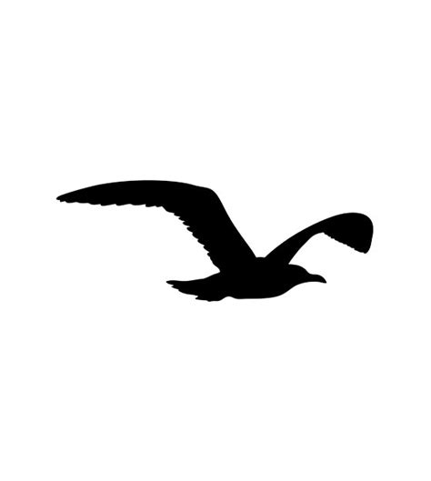 Seagull Silhouette Design Shop By Aquadigitizing