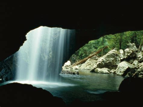 Natural Bridge Springbrook National Park Attraction Queensland