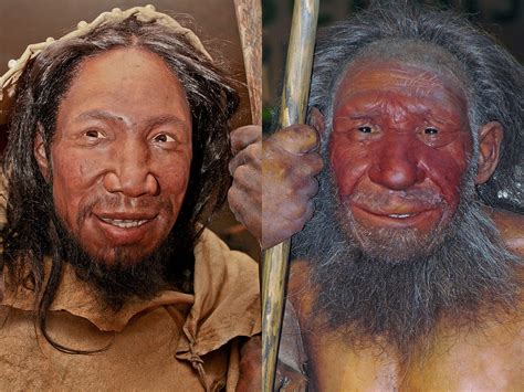 new evidence suggests homo sapiens were at constant war with neanderthals for over 100 000 years