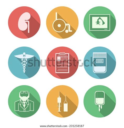 「Colored Vector Icons Nephrology Colored Circle」のベクター画像素材 ...