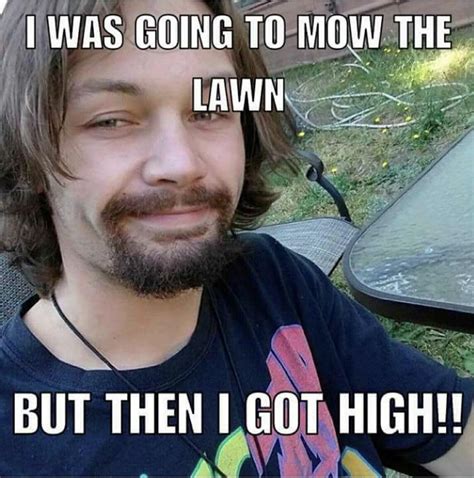 Dude Weed Lmao 👌👌 Rcomedycemetery