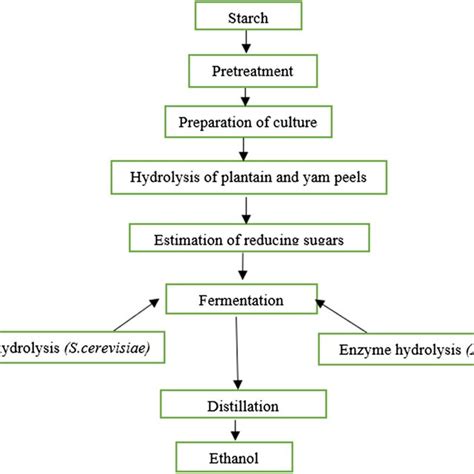 Production Of Bioethanol From Plantain And Yam Peels Using Aspergillus