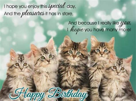 Birthday Cards With Cats Singing Singing Birthday Kitties Free Happy