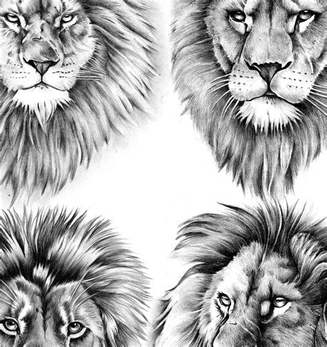 Top 112 Lion Tattoo Art Designs
