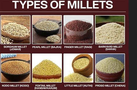 9 Different Types Of Millets Grown In India