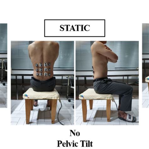 Static And Dynamic Sitting Condition Download Scientific Diagram