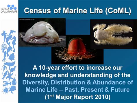 Census Of Marine Life Coml A 10 Year Effort To Increase Our Knowledge