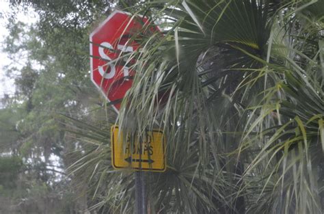 Safety Alert Blocked Stop Signs Proceed With Caution Brandon Fl Patch