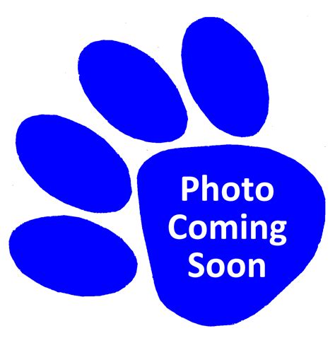 Panther Paw Logos Free Download On Clipartmag