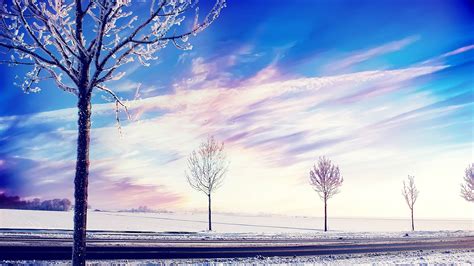 Snow Winter Trees Wallpapers Hd Wallpapers Id 14178