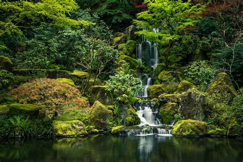 Green Moss On Rock Formation Near Water Falls Photo Free Nature Image