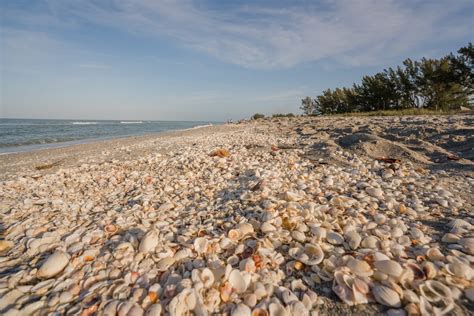 20 Best Things To Do In Sanibel Island Beaches Shelling Food And More