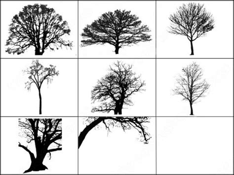 Liste complète des brush photoshop tree en libre téléchargement. Tree brush photoshop brushes in Photoshop brushes abr ...