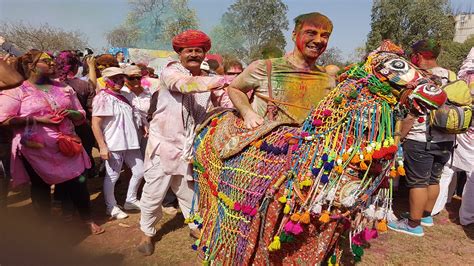Information About The Festival Of Dhulandi In Jaipur Rajasthan