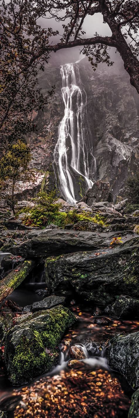 Powerscourt Waterfall Wicklow Ireland Look At It Closely And Youll