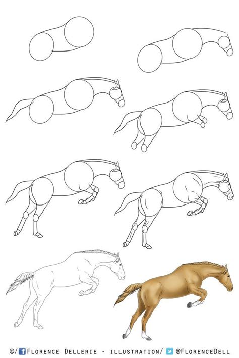 Engaging How To Draw A Horse The Inspiration Place Horse Art