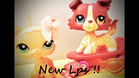 New Lps Collie 1262 Youtube