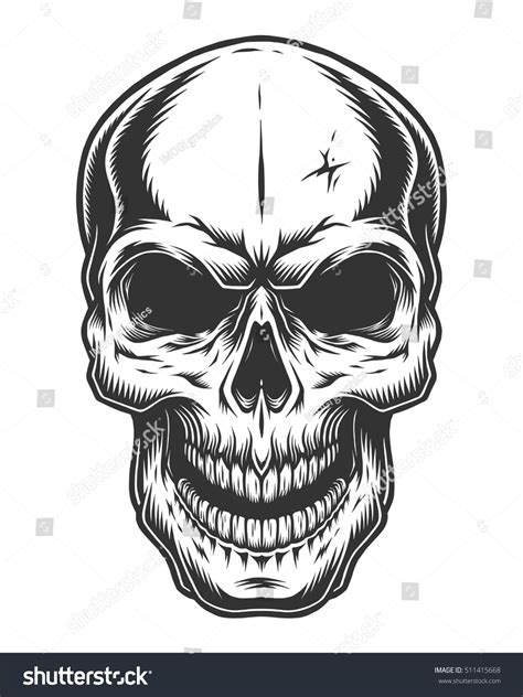 Monochrome Illustration Skull On White Background Stock Vector ...