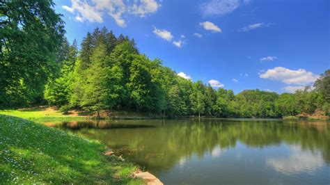 Lake Surrounded By Green Trees Grass Field Under Blue Sky Hd Nature