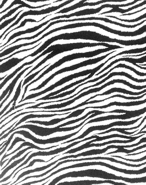 Zebra Stripe Print Fabric 100 Cotton High Quality Black