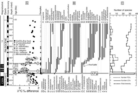 Planktic Foraminiferal Evolutionary Records From Deep Sea Drilling