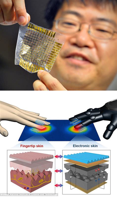 Electronic Skin Can Feel Temperature Changes And Pressure Could Be