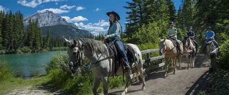 1hr Bow River Evening Horseback Ride Discover Banff Tours