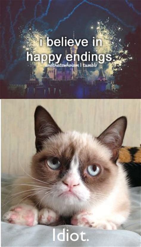 257 Best Images About Grumpy Cat On Pinterest