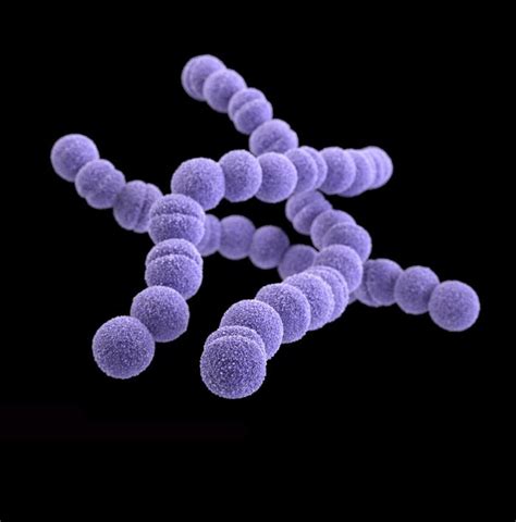 Invasive Group A Strep Cases Up In Denver Cdc Issues Health Advisory