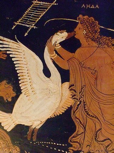 Leda Greek Mythology Wiki Fandom Powered By Wikia