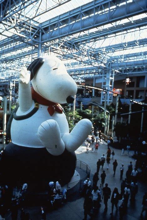 Back When It Was Camp Snoopy Camp Snoopy Mall Of America Duluth