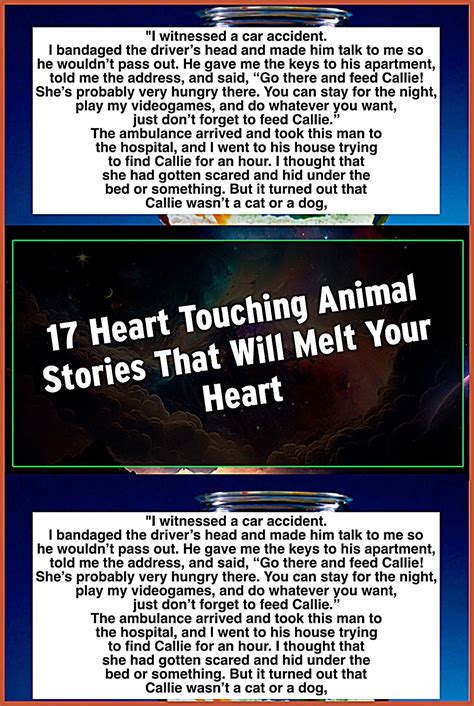 17 Heart Touching Animal Stories That Will Melt Your Heart Artofit