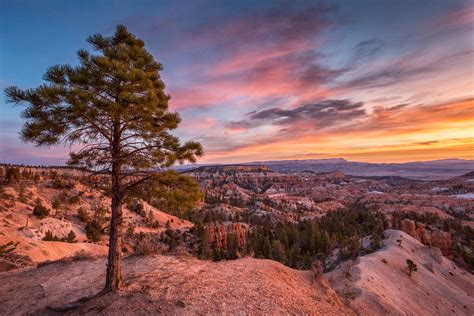 Dawn At Sunrise Sunrise Point Bryce Canyon National Park Utah Usa