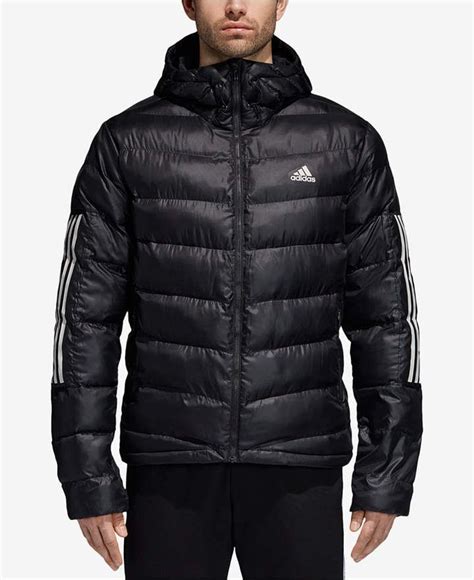 buy adidas down coats and jackets in stock