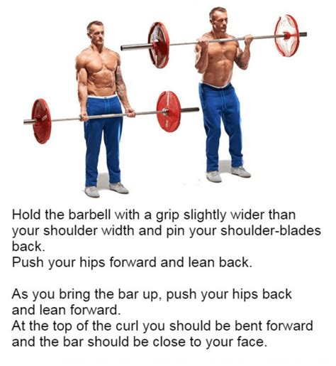 Total Body Workout Plan Using Only A Barbell 15 The Best Barbell