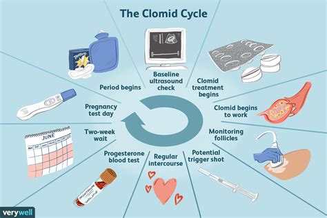 How To Take Clomid For Infertility