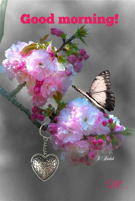 Pin By Mamta Yadav On Good Mornings Love Flowers Beautiful Flowers