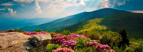 Posted by pine view builders july 31st, 2019. Asheville NC Real Estate - #1 Website for Homes for Sale ...