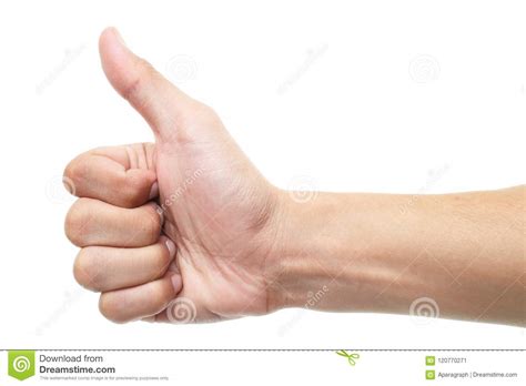 Hand Thumb Up Isolated On White Background Stock Image Image Of Like