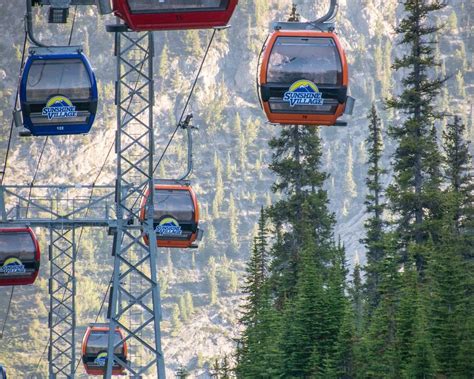Banff Sunshine Meadows 2022 What To Know Before You Go