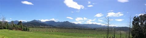 Wairau Valley Home