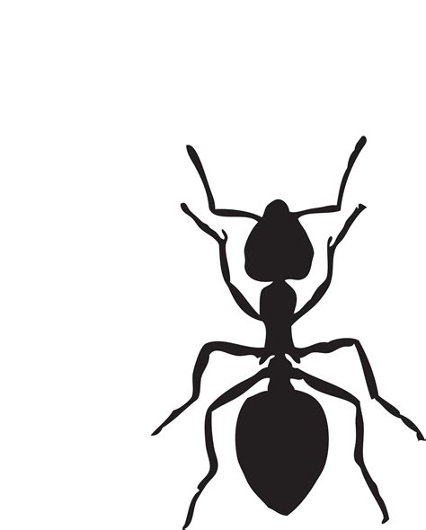 Free Preschool Ant Cliparts Download Free Preschool Ant Cliparts Png